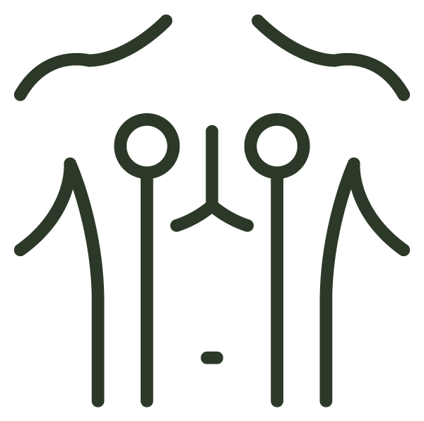 icon2